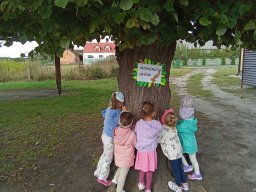 2025-09-18 Przytul się do drzewa